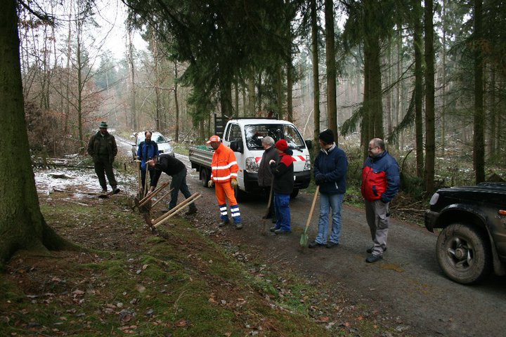 Tree Planting Album